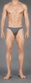 Bikini Gris
